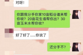 怀化为什么选择专业追讨公司来处理您的债务纠纷？